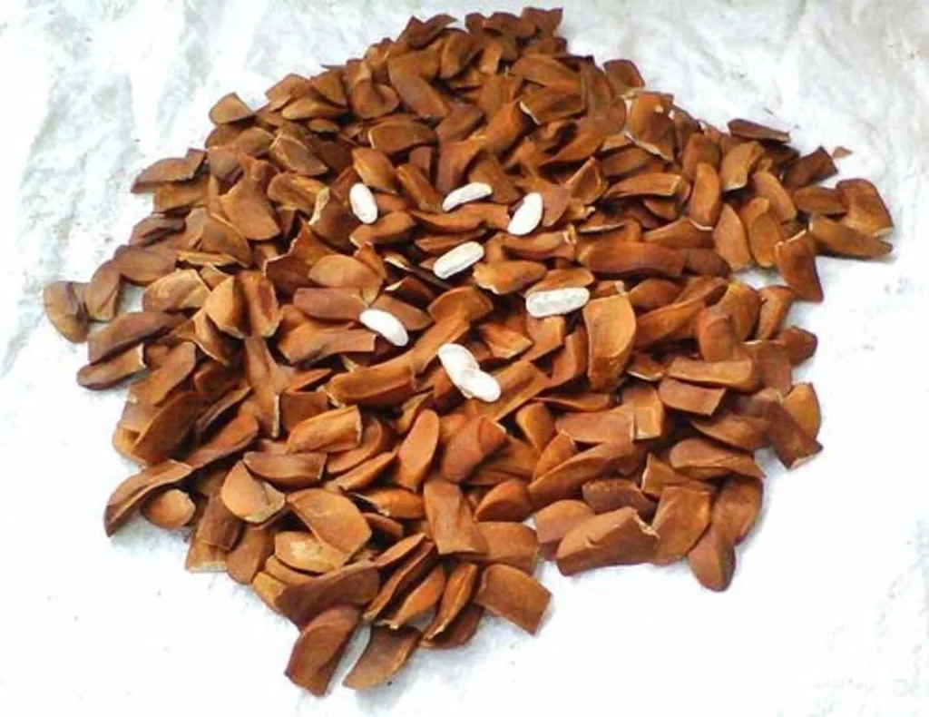 90 mgy234 mgy 90 lyrs original imag2zh27rhty8h9